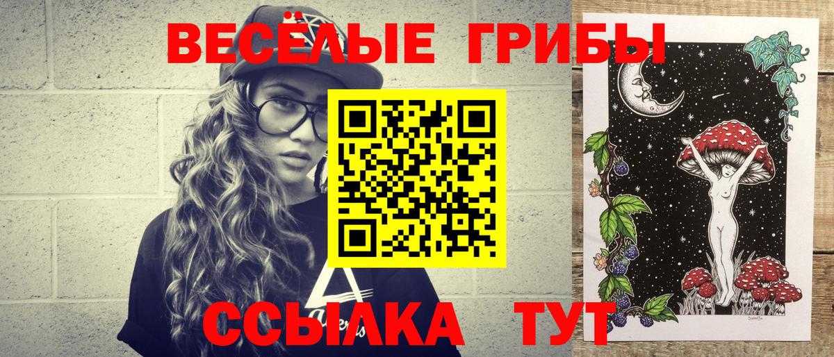 Псилоцибиновые грибы Psilocybe Лангепас